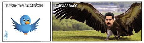 Tira Salas 5774 Tira Salas 5774