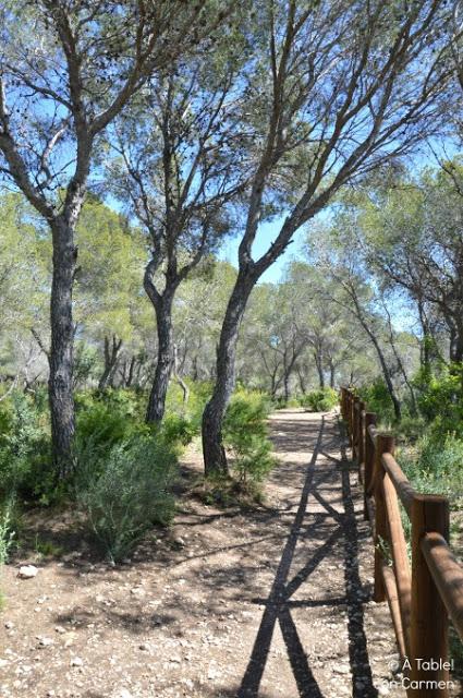 De Calpe a Benissa por Sendero Ecológico