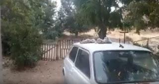 Temporal de lluvia y granizo en Piedra del Aguila