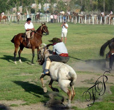 2º Jineteada Homenajeando al Pago Aniversario Piedra del Aguila