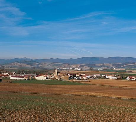 IMAGEN PARA COMENTAR UN PAISAJE AGRARIO, GEOGRAFÍA DE ESPAÑA 2º BACHILLERATO