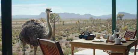 Una avestruz descubre la realidad virtual en este divertido anuncio de Samsung