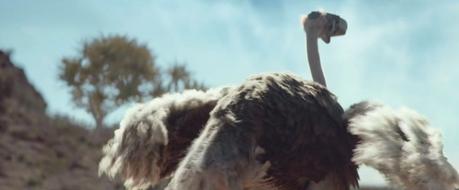 Una avestruz descubre la realidad virtual en este divertido anuncio de Samsung