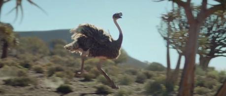 Una avestruz descubre la realidad virtual en este divertido anuncio de Samsung