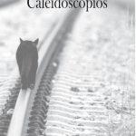 Irene Reyes Noguerol: Caleidoscopios
