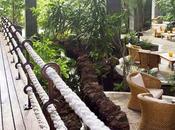 CosmetikTrip7, todo hicimos Hotel Princesa Yaiza