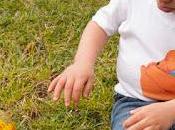 Body Osset Dormilega Osito dormilón