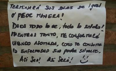 experiencias urbanas: quien ama a los animales, ama a su prójimo
