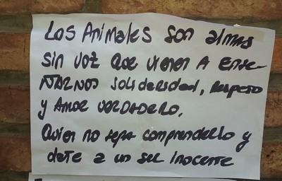 experiencias urbanas: quien ama a los animales, ama a su prójimo