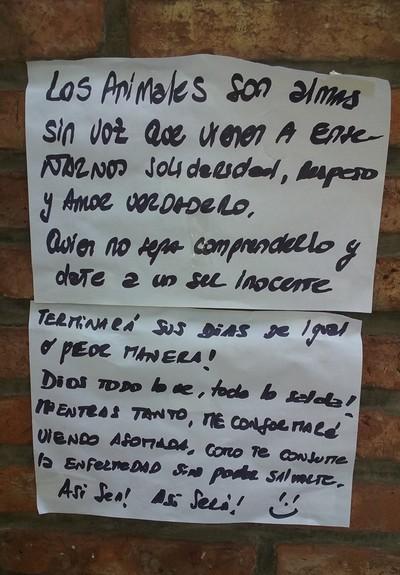 experiencias urbanas: quien ama a los animales, ama a su prójimo