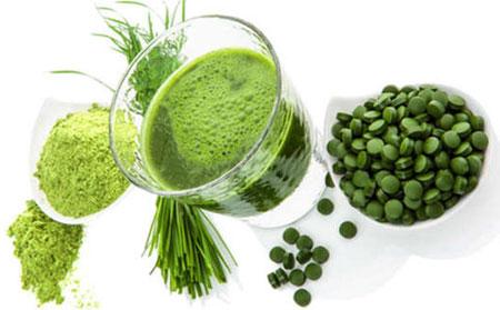 Espirulina, un alga antioxidante y para adelgazar