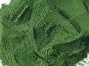 Espirulina, alga antioxidante para adelgazar