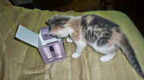 Protege a tu gato de enfermedades, alergias y parásitos