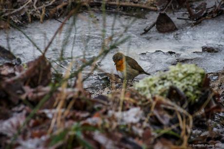¿Me meto o no me meto?