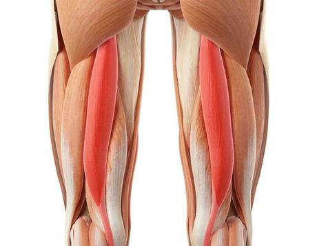 Ejercicios para mejorar el equilibrio en la bicicleta