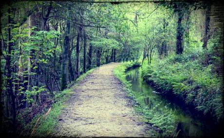 Entrevista Míriam Beizana Vigo, autora novela 