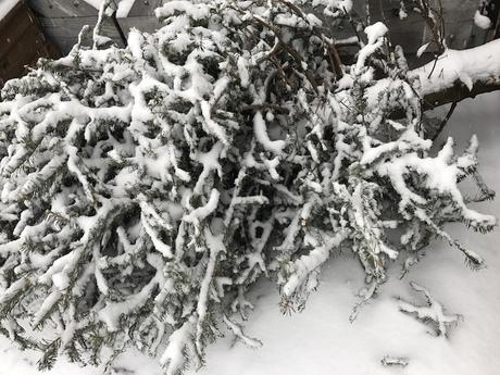 Fabtravels NYC day 4