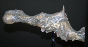 Neurociencia para la época de los dinosaurios Neurociencia para la época de los dinosaurios