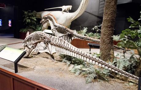 Neurociencia para la época de los dinosaurios Neurociencia para la época de los dinosaurios