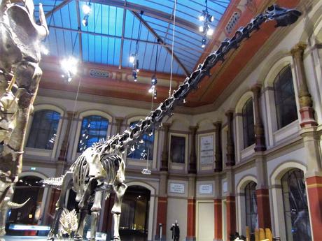 Neurociencia para la época de los dinosaurios Neurociencia para la época de los dinosaurios