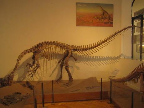 Neurociencia para la época de los dinosaurios Neurociencia para la época de los dinosaurios