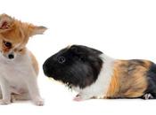 Conocer gente manera fácil (artículo video)