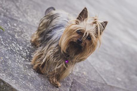 MIXED PRINTS IS A GOOD IDEA MIXED PRINTS IS A GOOD IDEA