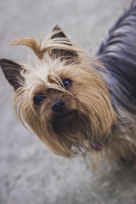 MIXED PRINTS IS A GOOD IDEA MIXED PRINTS IS A GOOD IDEA