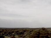 rebelión Andalucía Asturias contra impuesto muertos mejor noticia para demócratas