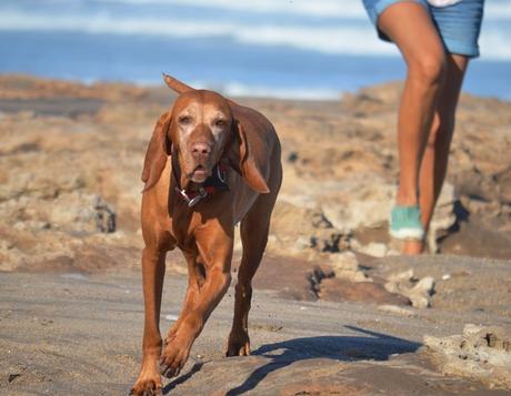 Escapada {Oli & Playa}