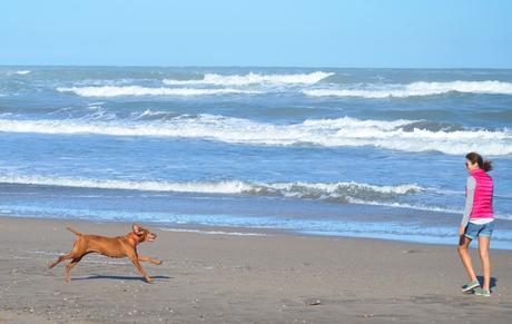 Escapada {Oli & Playa}