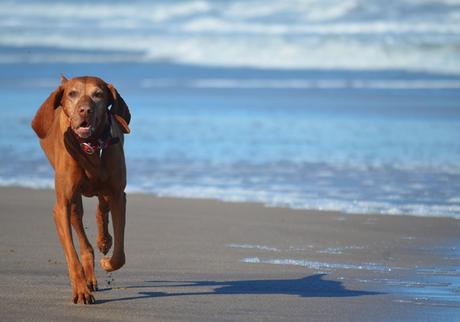 Escapada {Oli & Playa}