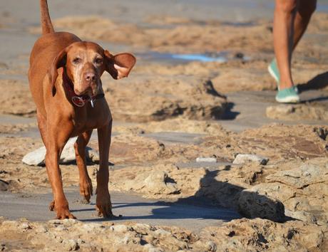 Escapada {Oli & Playa}