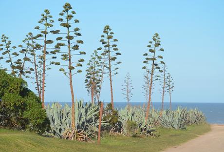 Escapada {Oli & Playa}