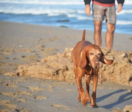 Escapada {Oli & Playa}