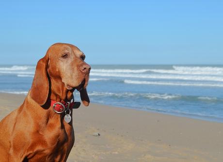 Escapada {Oli & Playa}