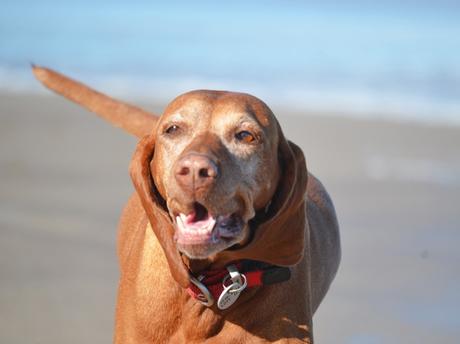 Escapada {Oli & Playa}