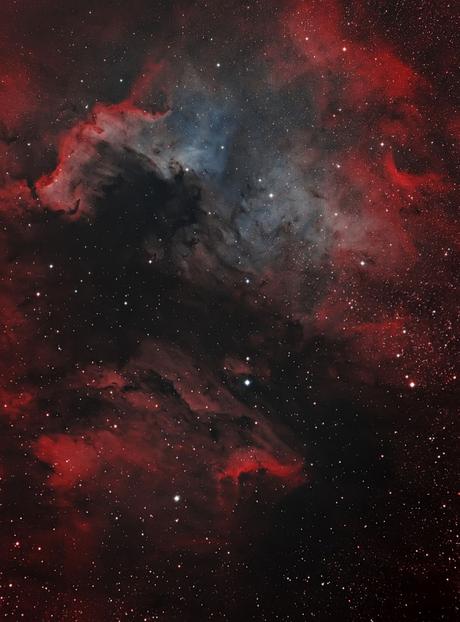 ✨NGC 7000 por Arno Rottal