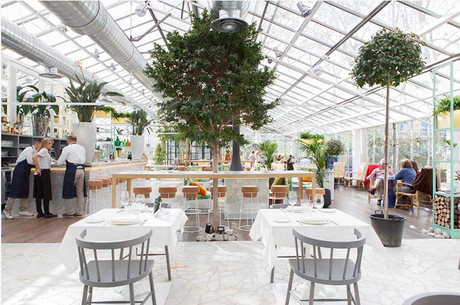 El invernadero de los peñotes El invernadero de los peñotes