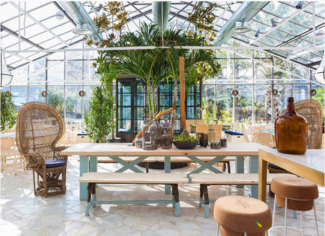 El invernadero de los peñotes El invernadero de los peñotes