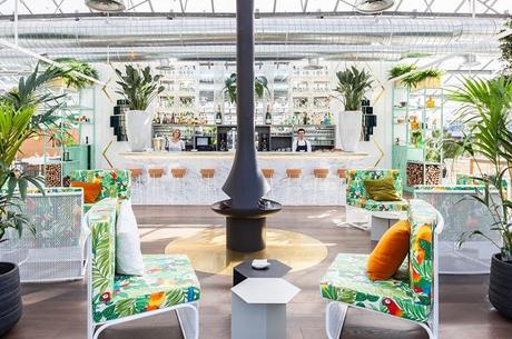 El invernadero de los peñotes El invernadero de los peñotes