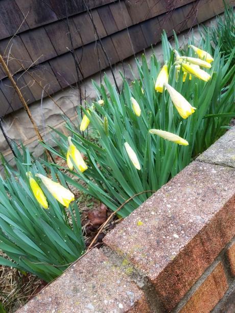 Por que deberias de dejar de ponerte al ultimo en todo Por que deberias de dejar de ponerte al ultimo en todo