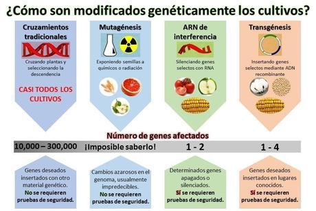 Biotecnologia y los Alimentos Transgénicos Biotecnologia y los Alimentos Transgénicos