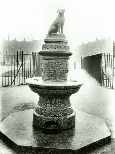 La estatua del perro operado en vivo.