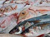 vitaminas minerales pescados