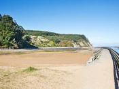 disfrutar Semana Santa!