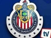 Final Copa solo Chivas asegura Amaury Vergara