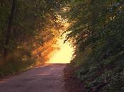 Esto reseña: camino Jack Kerouac