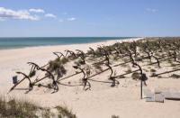 Capturan a abogada de Lilian Tintori con material para falsificar documentos (Fotos)