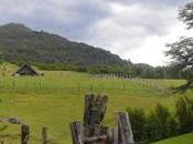 Ambientalistas contra nueva tierras